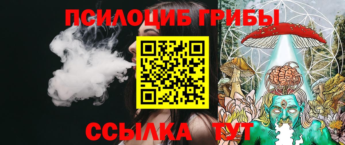 Псилоцибиновые грибы прущие грибы Амурск